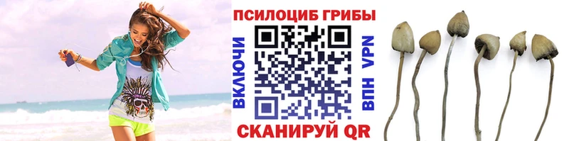 Галлюциногенные грибы MAGIC MUSHROOMS  закладка  Ефремов 